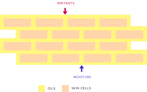 skin-cells